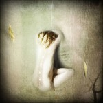 Veil_of_Illusion